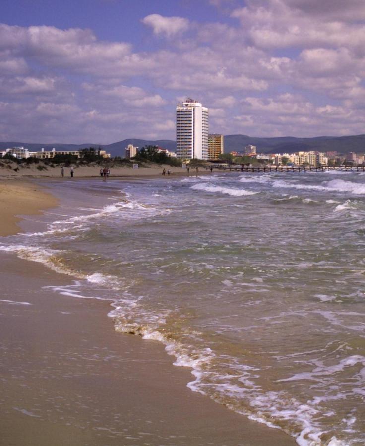 Single Apartment In Searegal Compex Sunny Beach Dış mekan fotoğraf